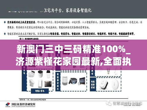 新澳门三中三码精准100%_济源紫槿花家园最新,全面执行计划数据_S1.74.76