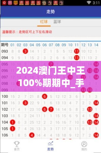 2024澳门王中王100%期期中_手机最新报价,前沿解析说明_R版6.33.39