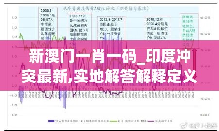 新澳门一肖一码_印度冲突最新,实地解答解释定义_分支策略6.62.36