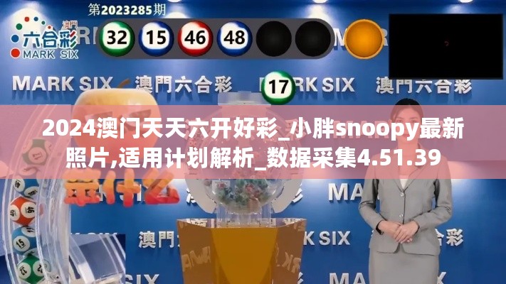 2024澳门天天六开好彩_小胖snoopy最新照片,适用计划解析_数据采集4.51.39