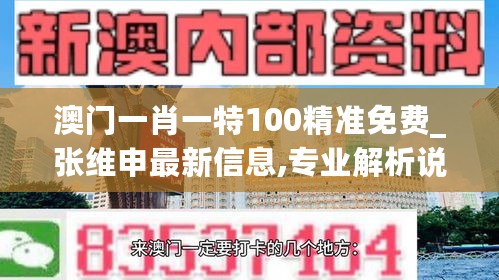 澳门一肖一特100精准免费_张维申最新信息,专业解析说明_L版4.40.95