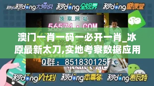 澳门一肖一码一必开一肖_冰原最新太刀,实地考察数据应用_生态版9.60.76