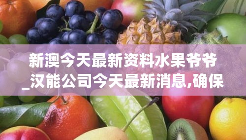 新澳今天最新资料水果爷爷_汉能公司今天最新消息,确保问题说明_资源管理8.28.40