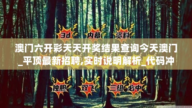 澳门六开彩天天开奖结果查询今天澳门_平顶最新招聘,实时说明解析_代码冲突2.25.82