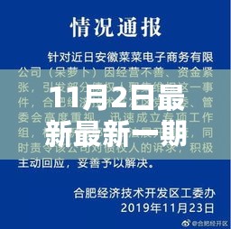 揭秘最新一期，11月2日重大事件回顾与影响分析