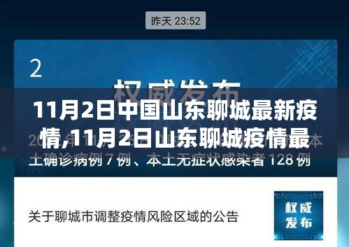 2024年11月2日 第10页