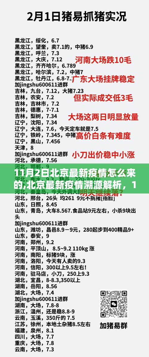 北京疫情溯源解析，11月2日疫情源头探究与综合评估报告