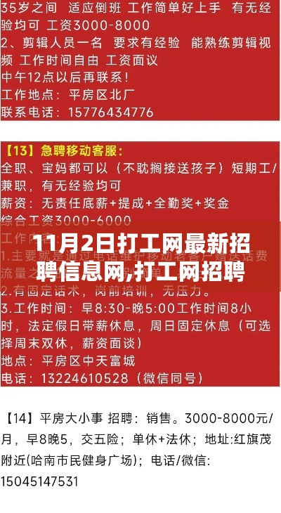 11月2日打工网招聘信息更新，新动向、故事与影响全解析