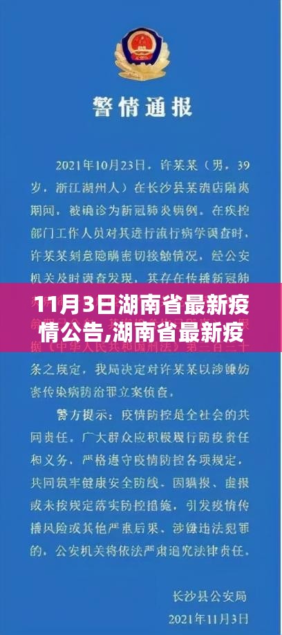 湖南省最新疫情公告深度解读与案例分析，11月3日最新动态及案例分析