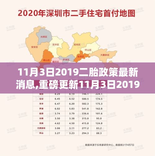 揭秘，2019年二胎政策最新动态与消息汇总