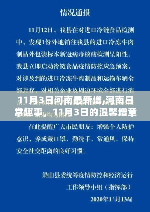 河南日常趣事，温馨增章，最新动态尽在11月3日