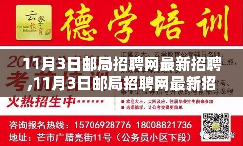 11月3日邮局招聘网最新招聘及申请全攻略，入门到精通指南