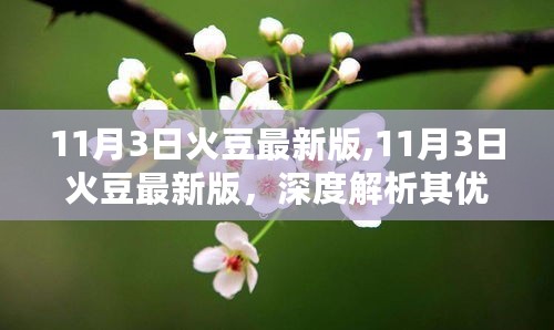 11月3日火豆最新版深度解析，优缺点及我的观点