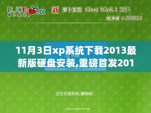 2024年11月3日 第21页