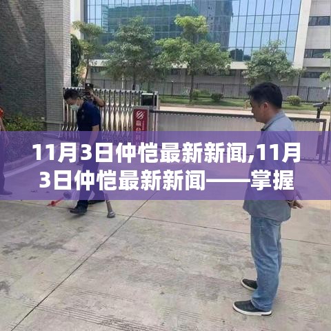 11月3日仲恺新闻速递，获取与分析新闻的技能步骤指南（适用于初学者与进阶用户）