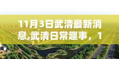 武清最新资讯与日常趣事，11月3日的温馨时光回顾