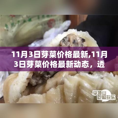 11月3日芽菜市场最新动态，价格透视与市场影响