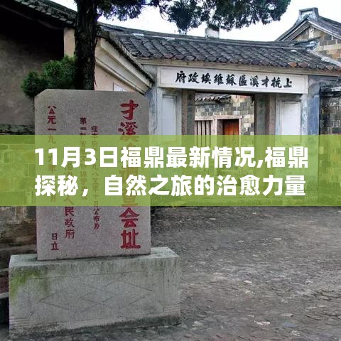 福鼎最新探秘，自然之旅的治愈力量与心灵之旅的启程（11月3日更新）