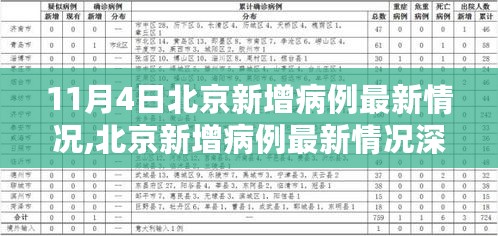 北京新增病例最新动态，深度解析、特性体验、竞品对比及用户洞察