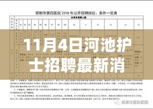 河池护士招聘最新动态，11月4日更新消息速递