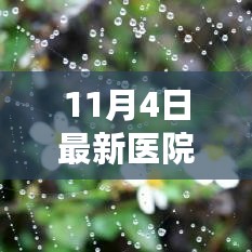 2024年11月4日 第26页