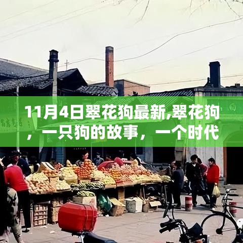 翠花狗，时代记忆下的温馨故事（最新报道）