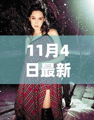 11月4日最新礼服潮流指南，引领时尚前沿的精选礼服