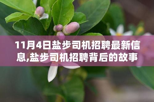 盐步司机招聘背后的故事，友情、家庭与生活交响曲，最新招聘信息发布于11月4日