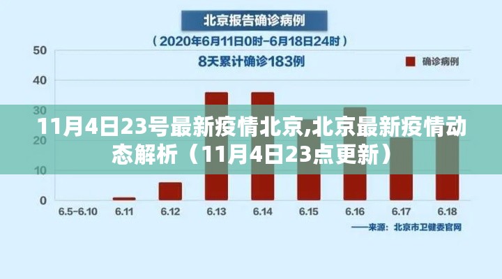 2024年11月4日 第8页