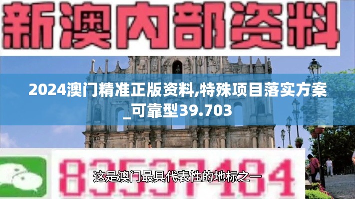 2024澳门精准正版资料,特殊项目落实方案_可靠型39.703