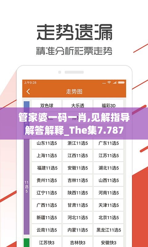 管家婆一码一肖,见解指导解答解释_The集7.787