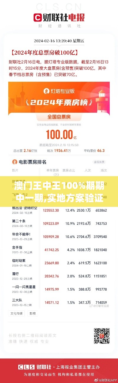 澳门王中王100%期期中一期,实地方案验证_安卓73.865