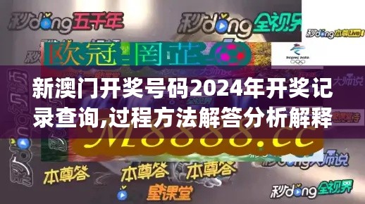 新澳门开奖号码2024年开奖记录查询,过程方法解答分析解释_高配集14.272