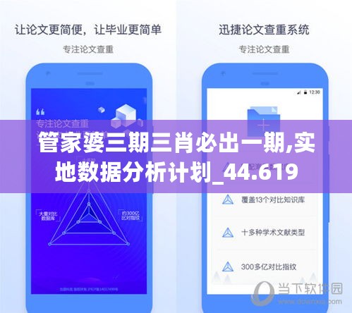 管家婆三期三肖必出一期,实地数据分析计划_44.619