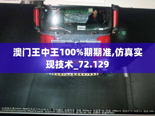 澳门王中王100%期期准,仿真实现技术_72.129