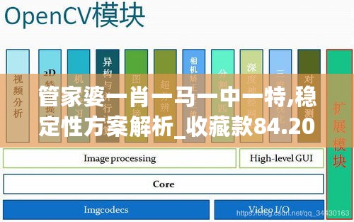 管家婆一肖一马一中一特,稳定性方案解析_收藏款84.205