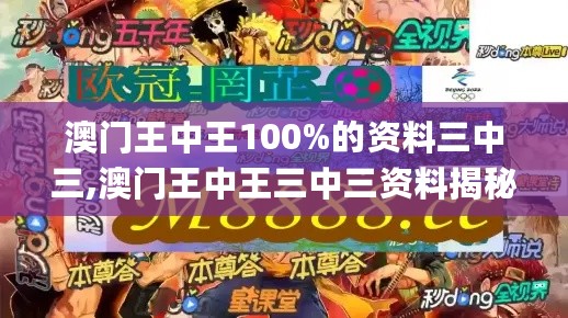 澳门王中王100%的资料三中三,澳门王中王三中三资料揭秘,创意方案解答执行_体验版22.565