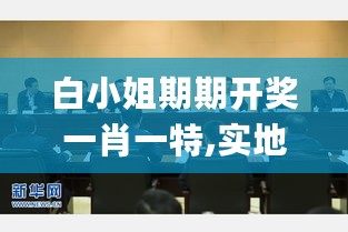 白小姐期期开奖一肖一特,实地执行考察策略_论坛版6.485