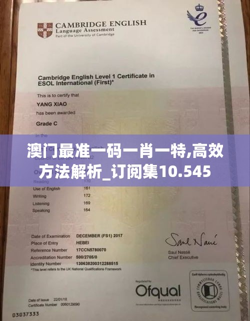 澳门最准一码一肖一特,高效方法解析_订阅集10.545