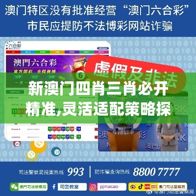 新澳门四肖三肖必开精准,灵活适配策略探讨_入门版4.277