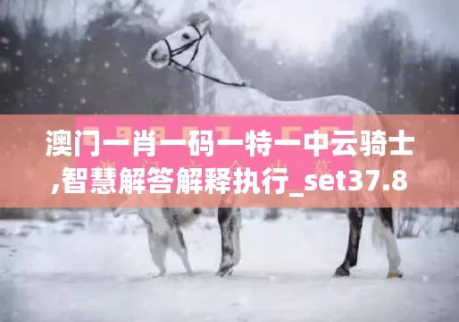 澳门一肖一码一特一中云骑士,智慧解答解释执行_set37.856