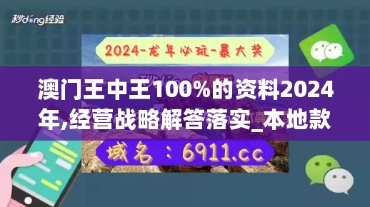 澳门王中王100%的资料2024年,经营战略解答落实_本地款44.783