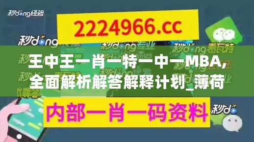 王中王一肖一特一中一MBA,全面解析解答解释计划_薄荷版93.108