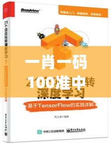 一肖一码100准中奖,目标导向的落实解析_简约版14.444