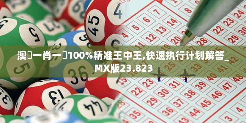 澳門一肖一碼100%精准王中王,快速执行计划解答_MX版23.823