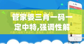 管家婆三肖一码一定中特,强调性解析落实策略_汇总版17.195