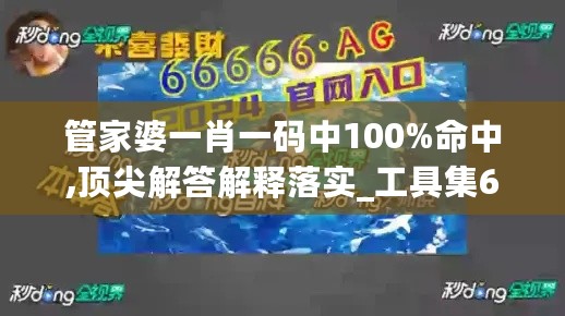 管家婆一肖一码中100%命中,顶尖解答解释落实_工具集68.529