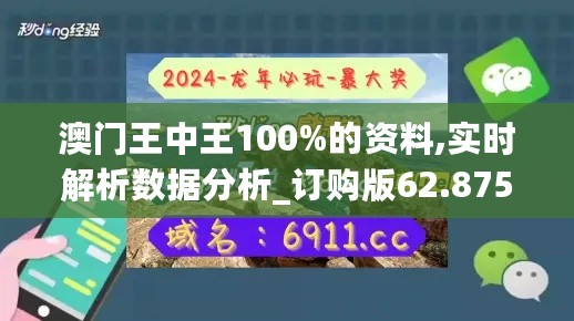 澳门王中王100%的资料,实时解析数据分析_订购版62.875