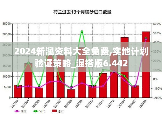 2024新澳资料大全免费,实地计划验证策略_混搭版6.442