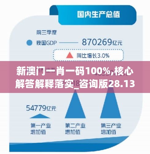 新澳门一肖一码100%,核心解答解释落实_咨询版28.135